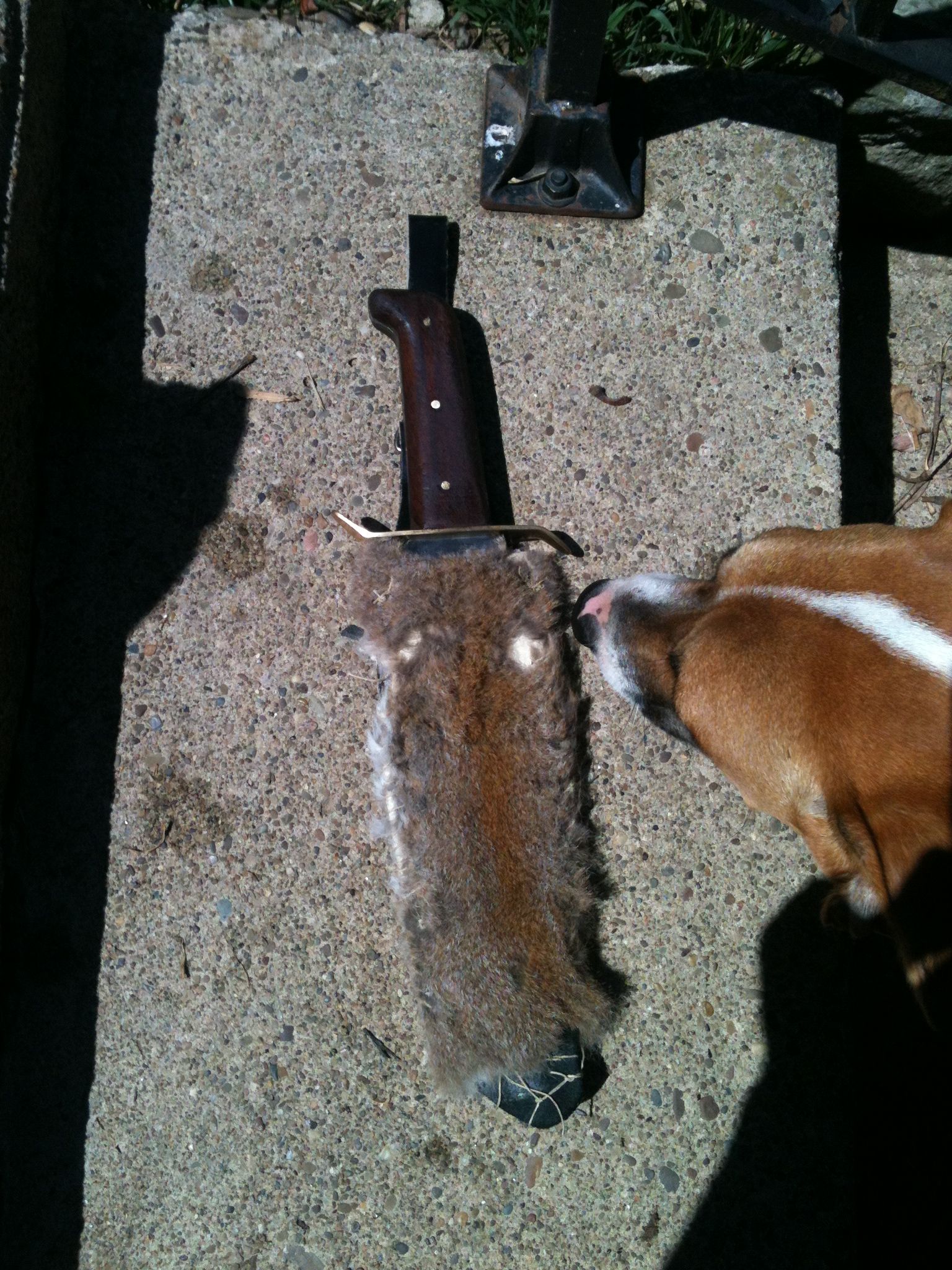 Minor Knife Restoration Instructables