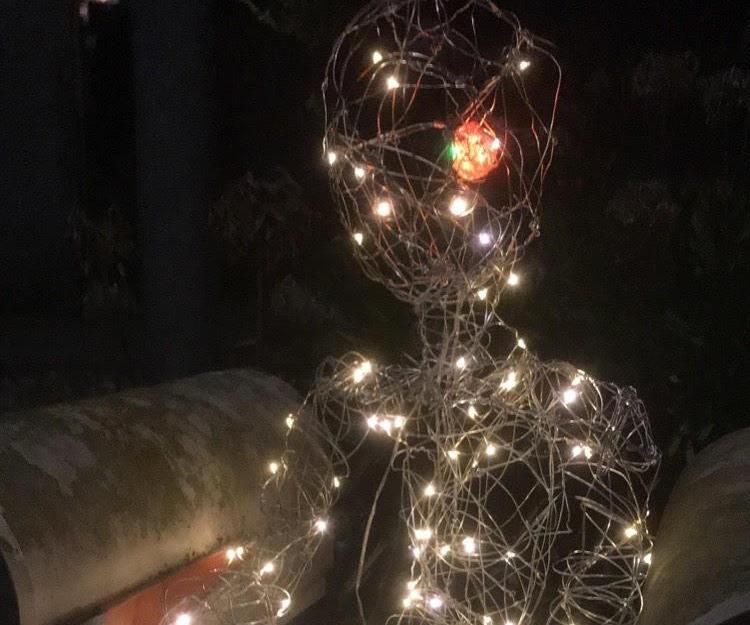 The Wire Guy
