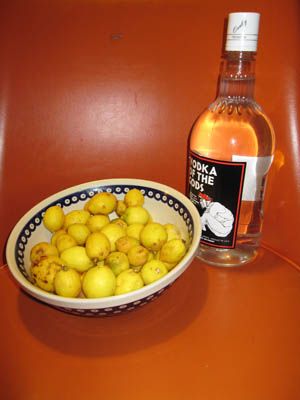 Limoncello: Taste the Sunshine!