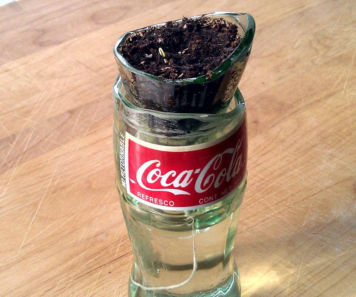 Self Watering Glass Bottle Planter