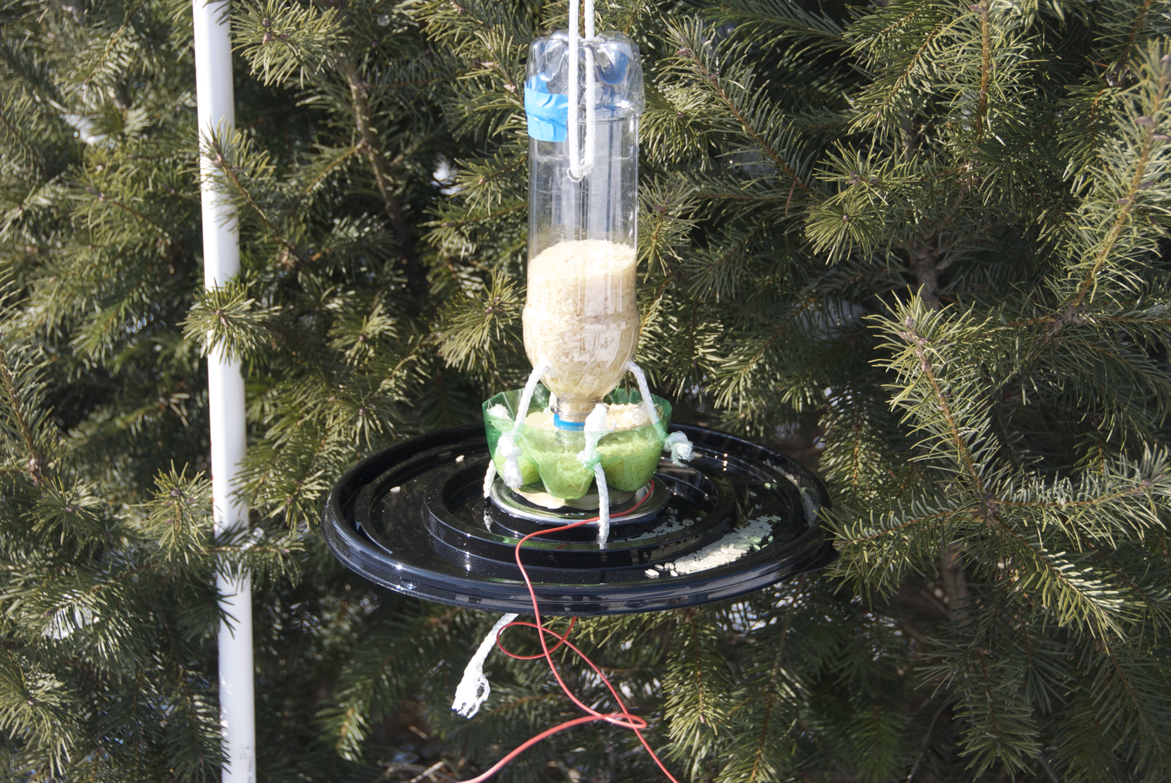 Beeping Plastic Bottle Bird Feeder 7 Steps (with Pictures