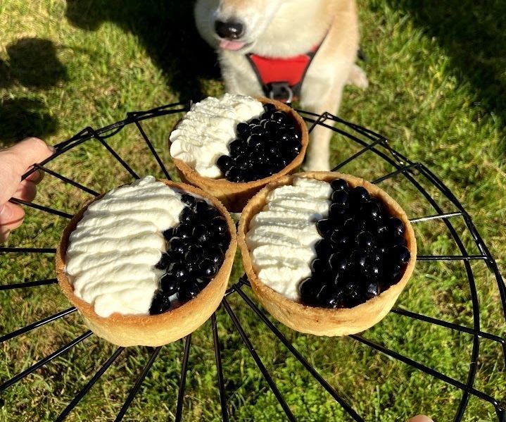 Bubble Tea Tarts