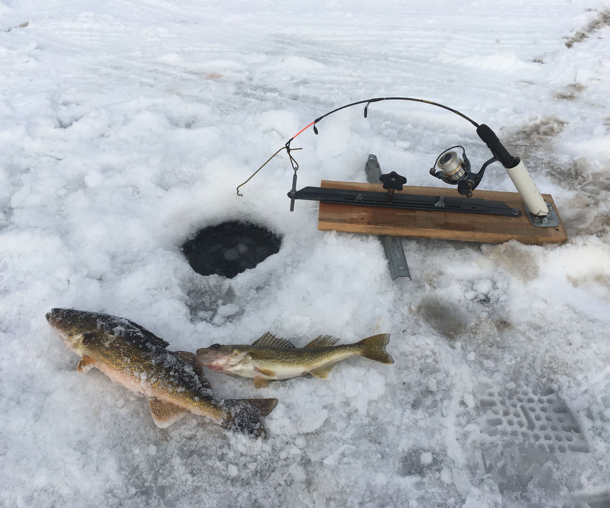 Auto Fisherman Hook Setter