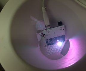 Chameleon Light