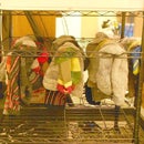 Fan Dry Hand Washed Wool