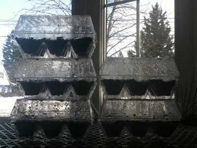 Mini Greenhouse With Plastic Egg Carton