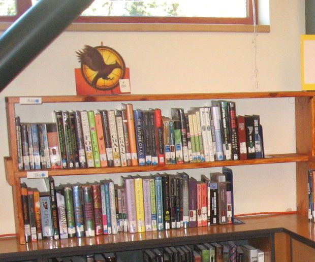 Shelf Topper for More Books More Beautifully in the Library