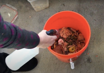 Add Food Waste & Bacteria