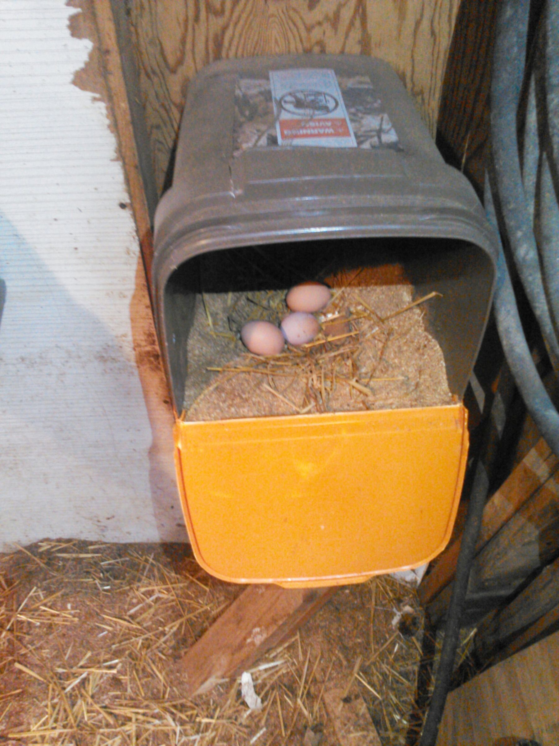 Cheap Chicken Nesting Box Instructables