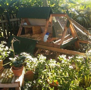 a frame chicken coop plans pdf