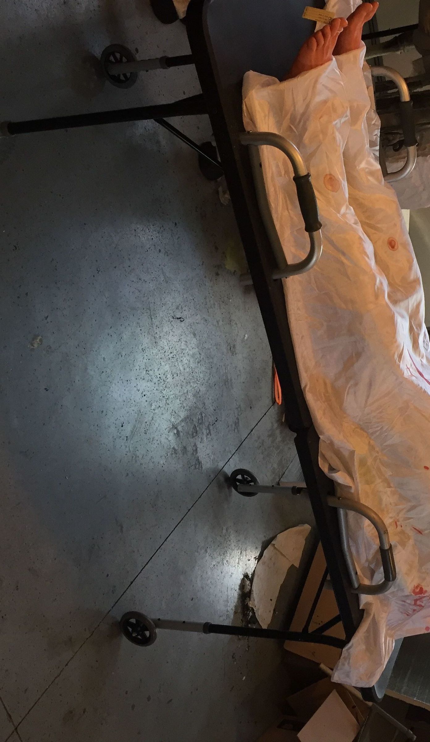 Halloween morgue gerney