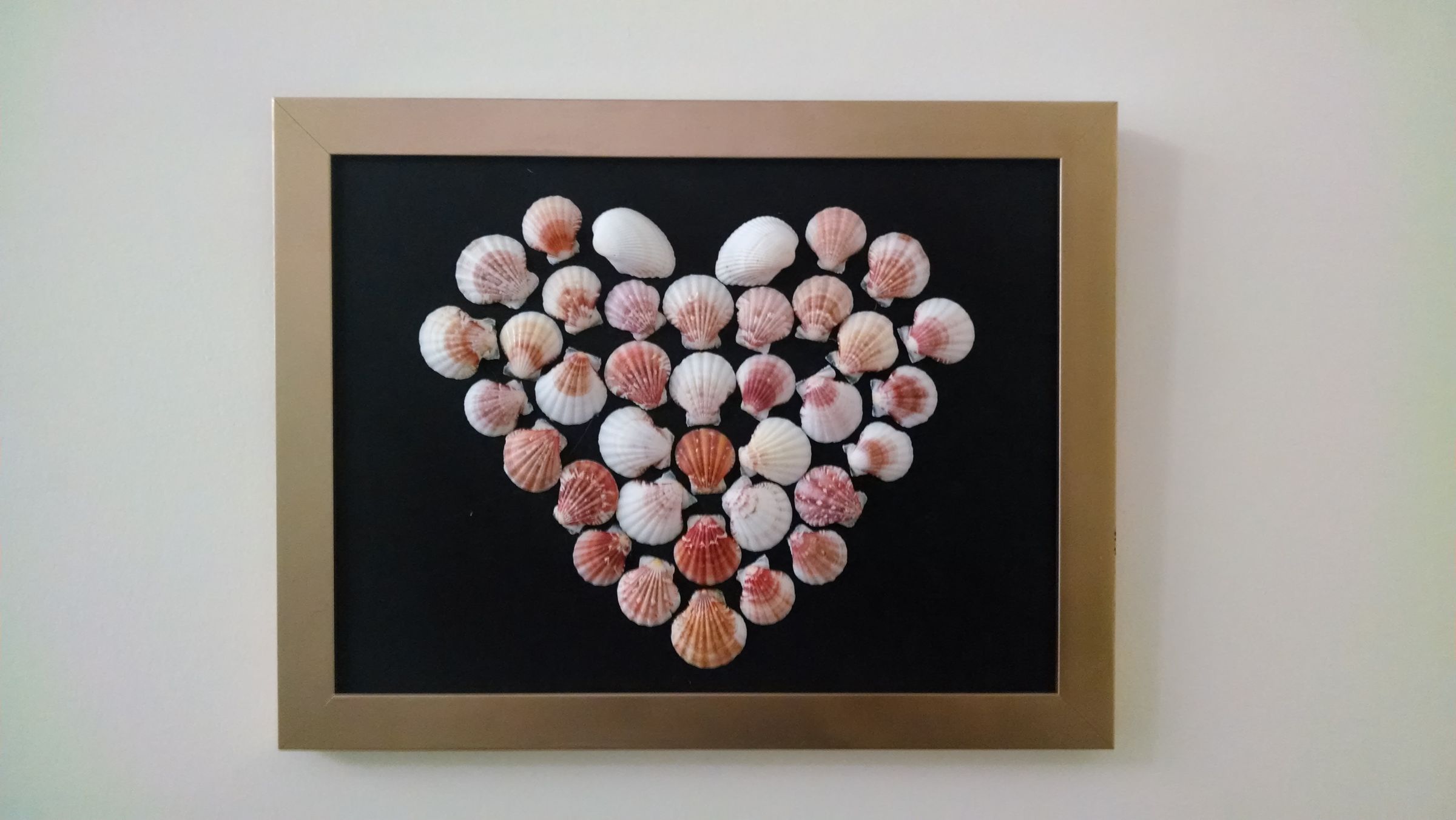 Shell Heart Home Decor