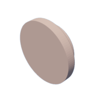 download {{ file.name }}