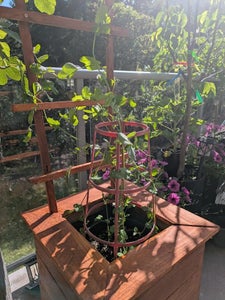 How to Make a Garden Box With a Trellis Out of Pallet Wood