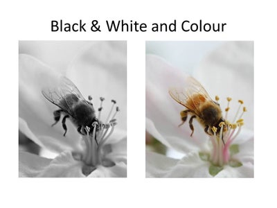 Take Great Pics, Easy Tutorial!