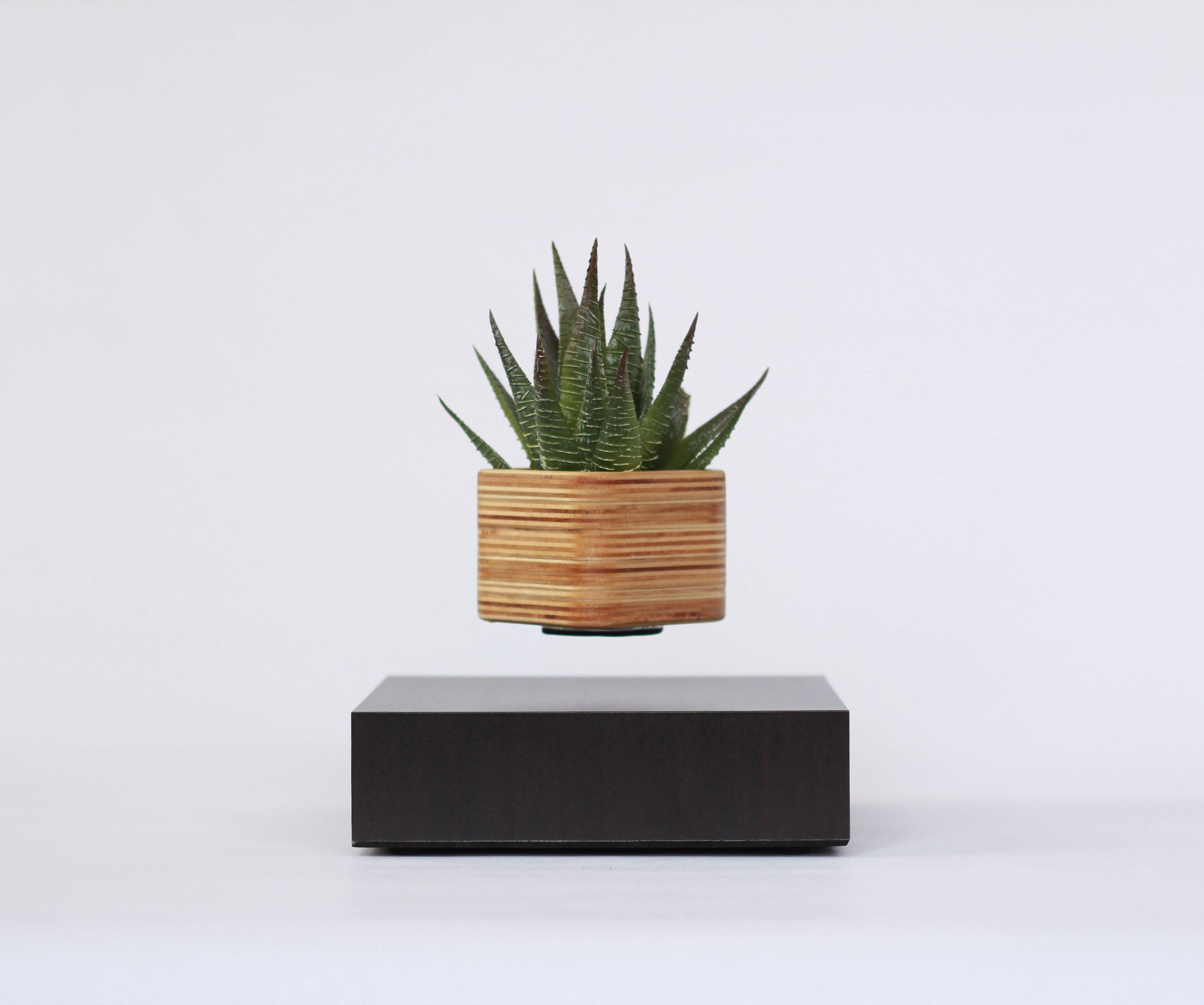 Building a Wood Planter for LEVdisplay 