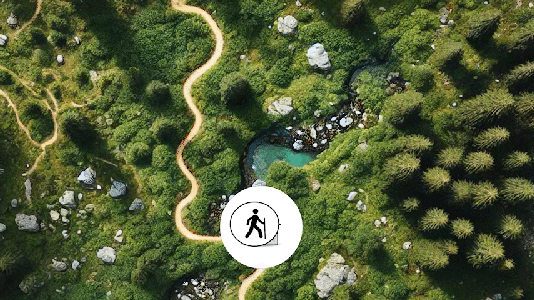 Automated Walk Safety