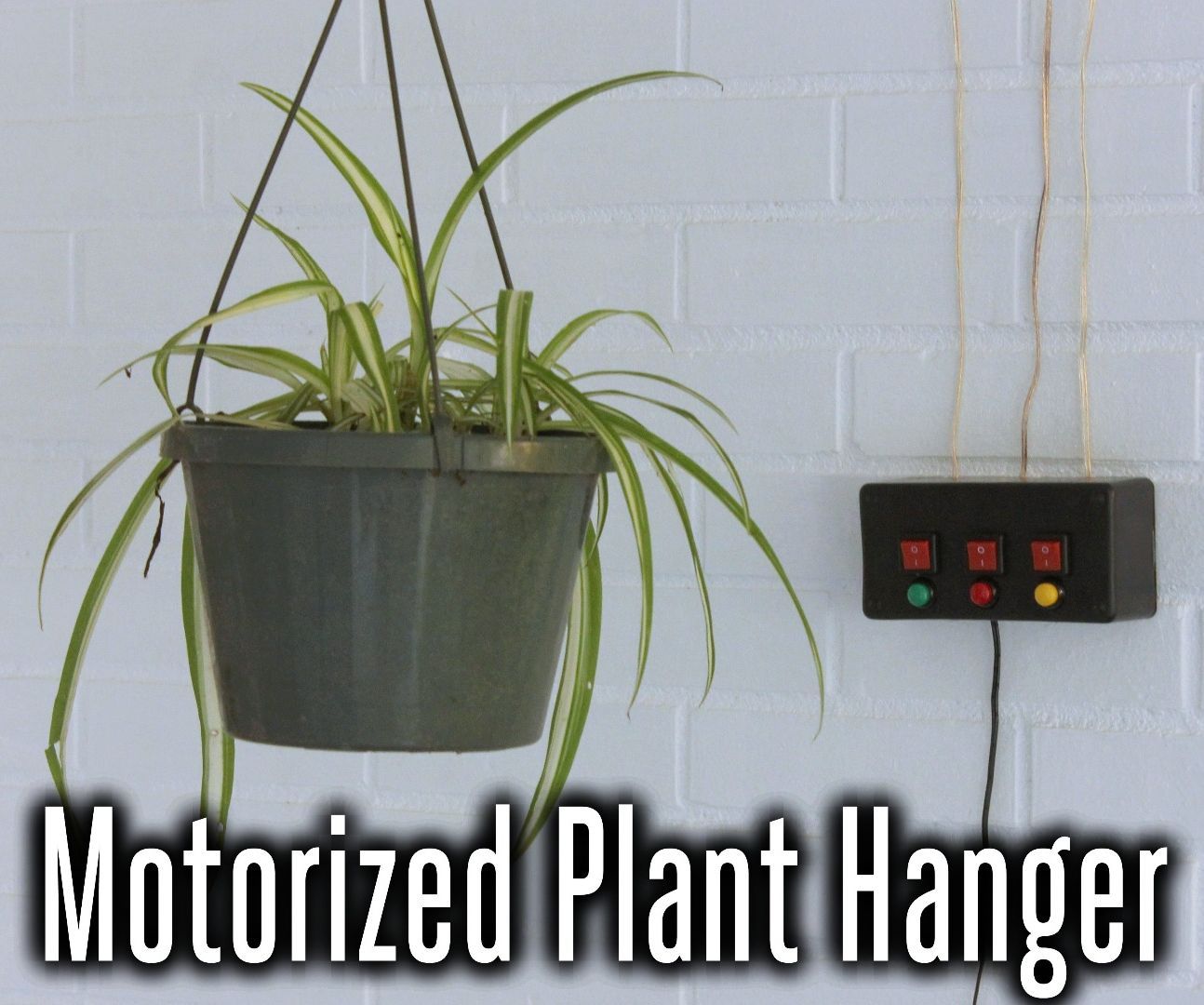 Motorized System for Raising and Lowering Hanging Plants