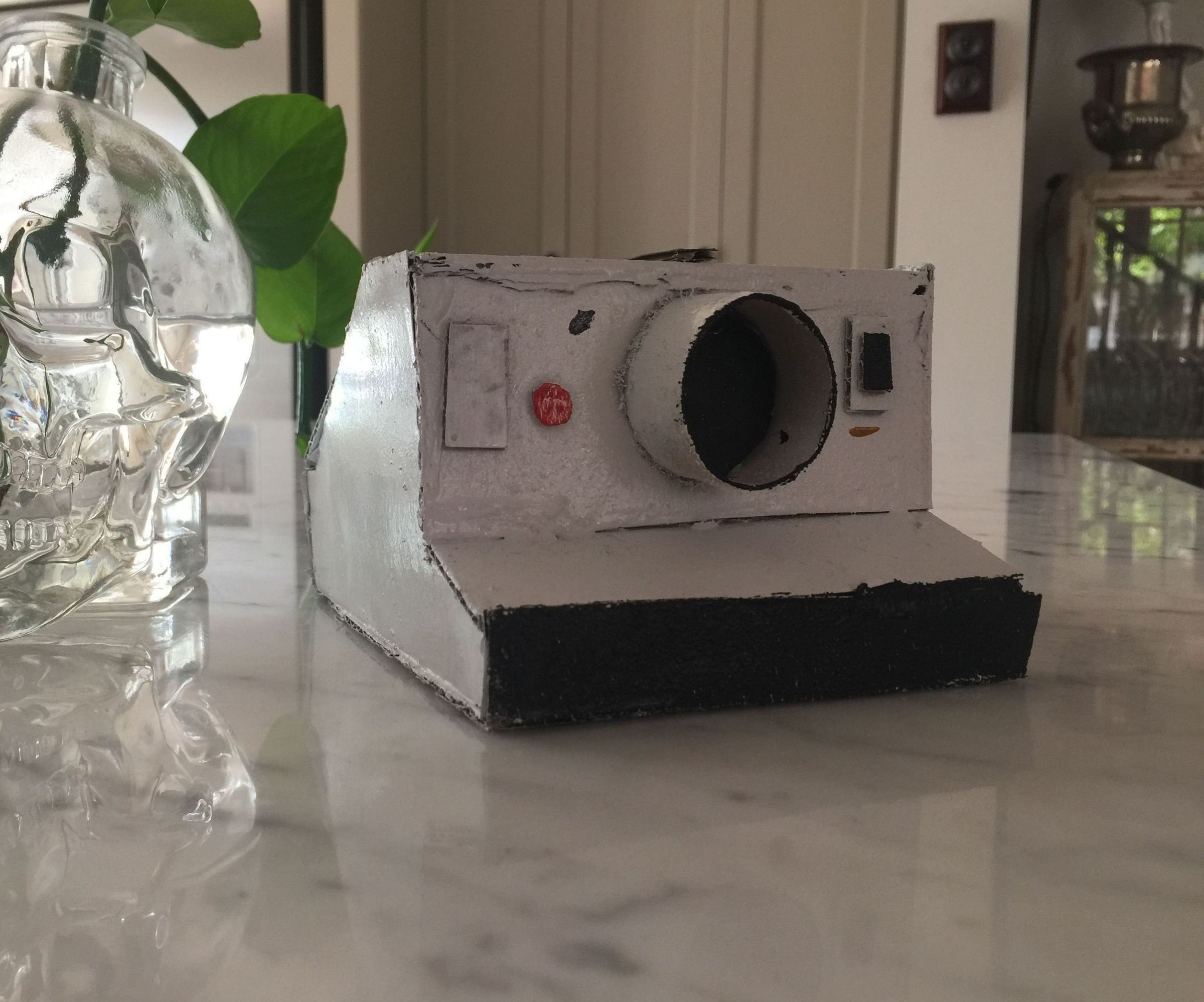 Cardboard Polaroid Camera