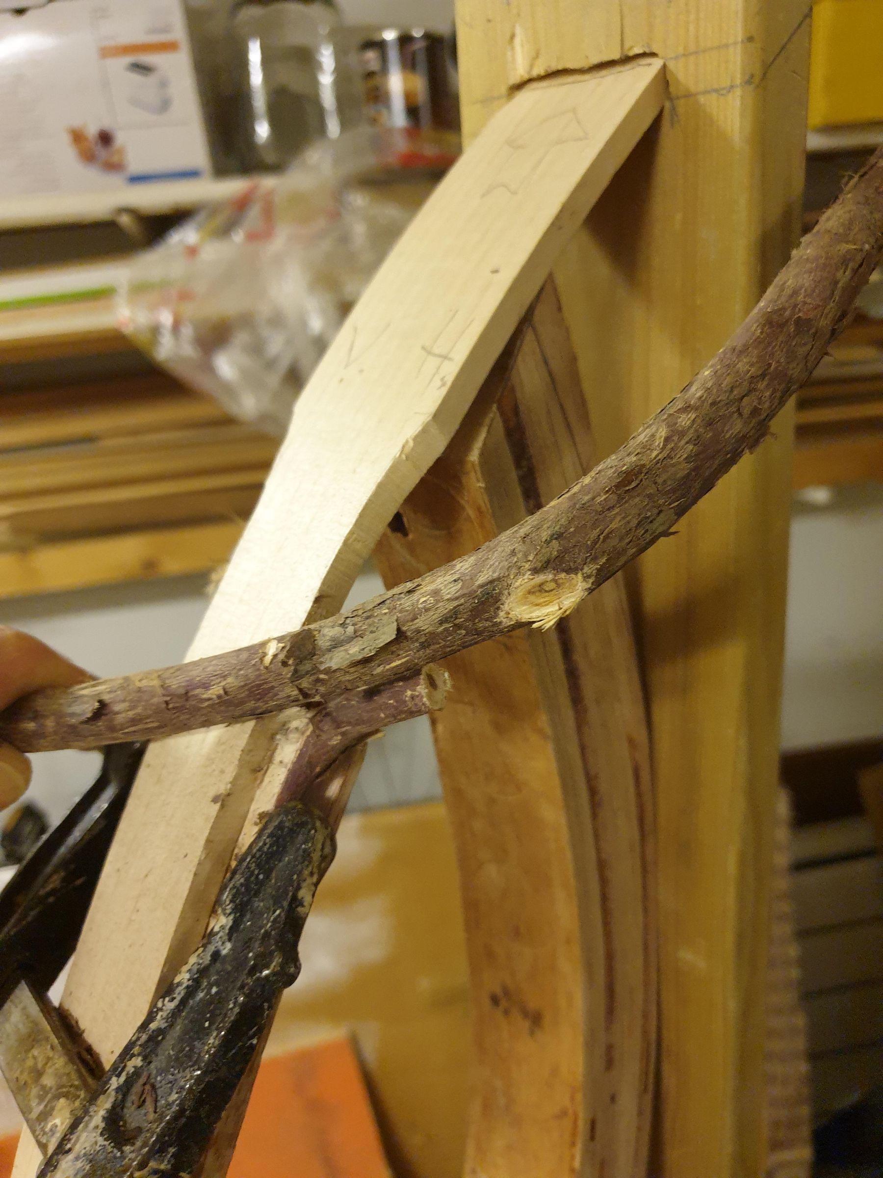 Handmade Wooden Ribcage : 8 Steps (with Pictures) - Instructables