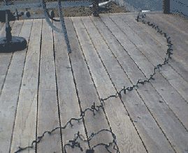 Spring Ritual for Procrastinators