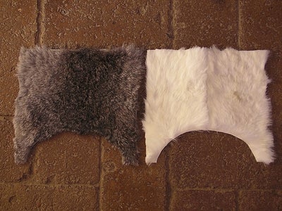 Furry Lid