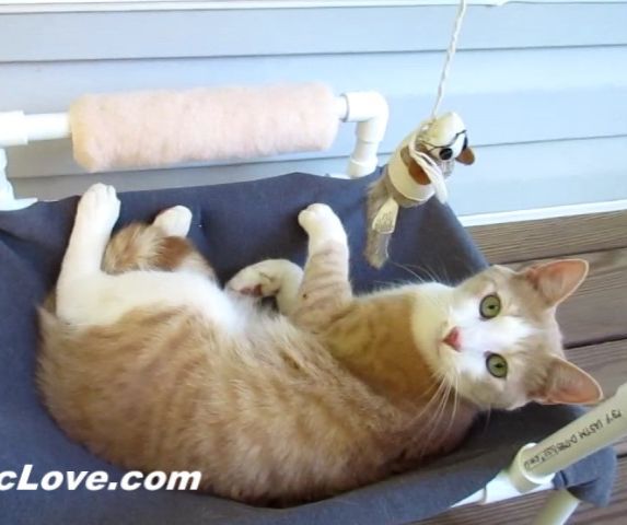 PVC Cat Hammock With Toys
