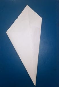 Fold the Both Sides Towards the Crease in the Center.