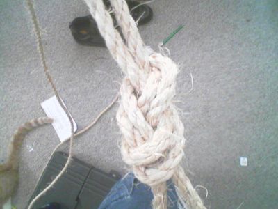 8 Knot and Reknot