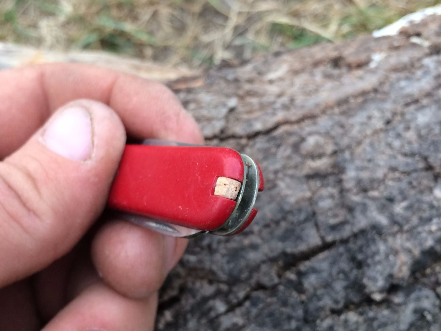 Replacement Toothpick for a Swiss Army Knife 4 Steps (with Pictures