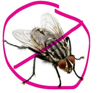 Tip Time: No Fly Zone