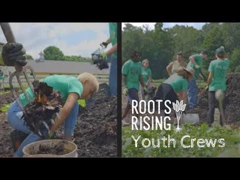 Affordable Youth Housing