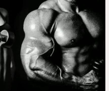 Best Steroid for Cutting