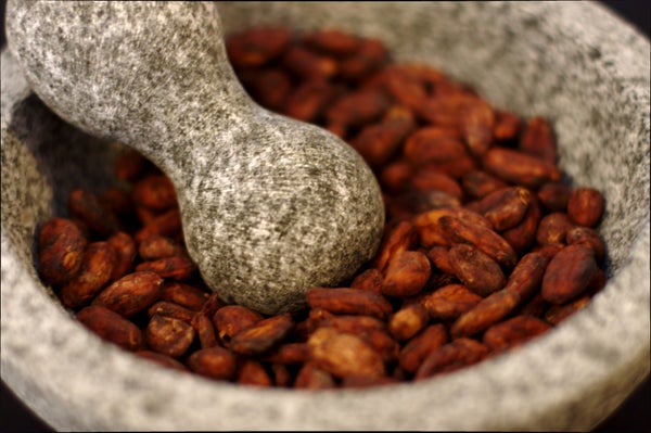 Equipment and Ingredients