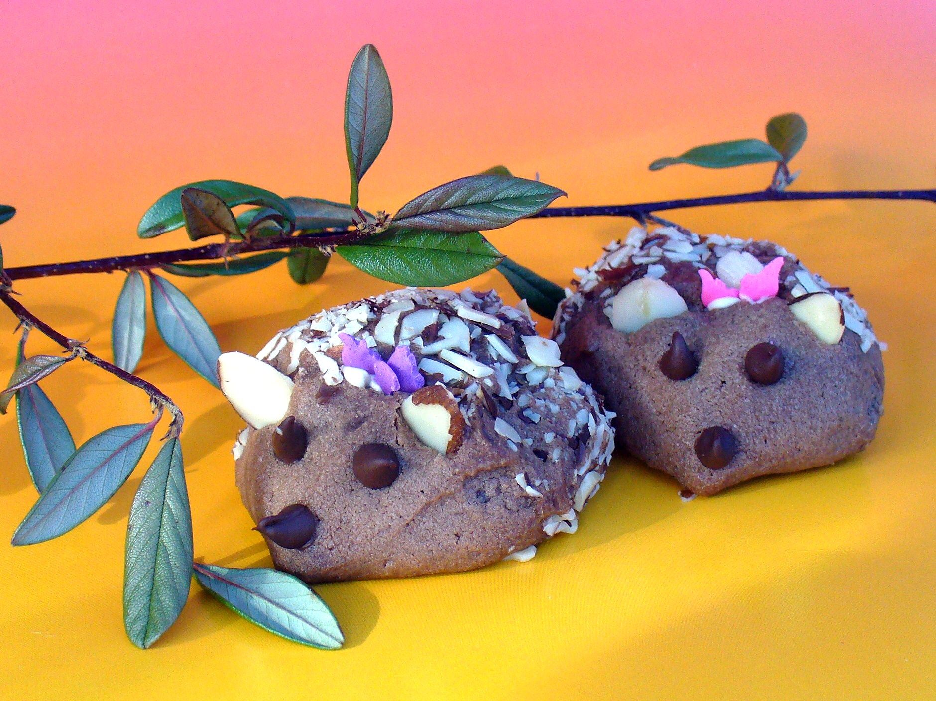 Amazing Chocolate Hedgehog Cookies
