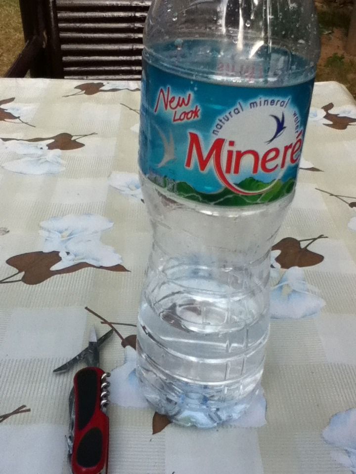 Small Fish Trap