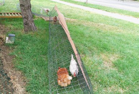 Rotating Run: Chicken Coop Extension : 9 Steps (with Pictures ...