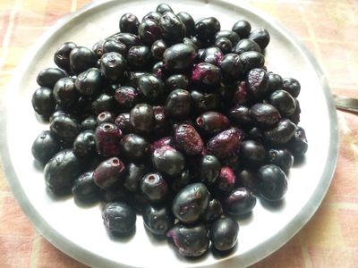 Java Plum Wine