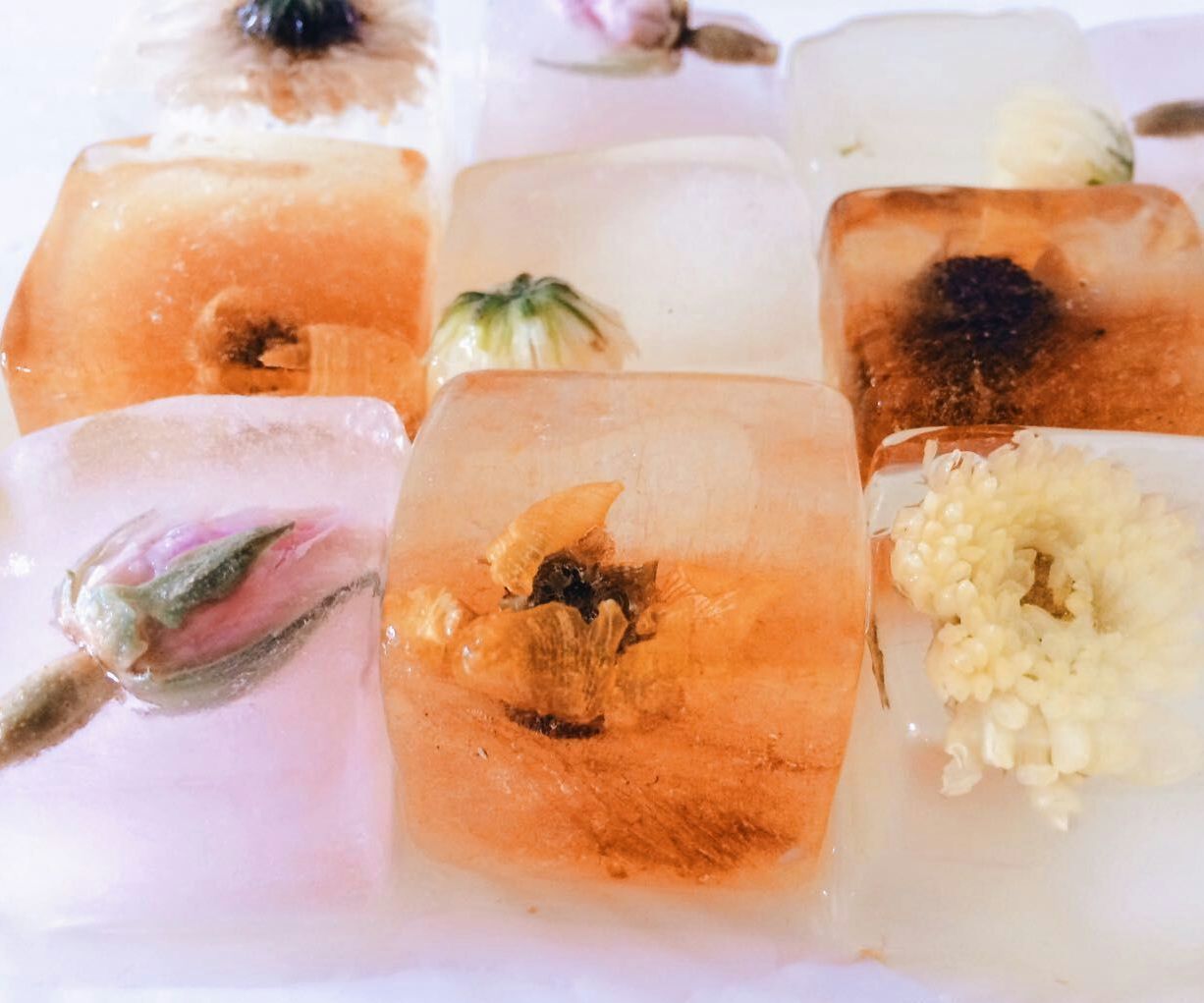 Herbal Tea Ice Cubes (T-Cubes)
