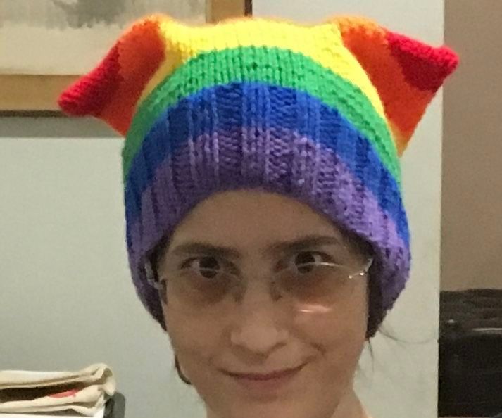 Rainbow Pussy Hat