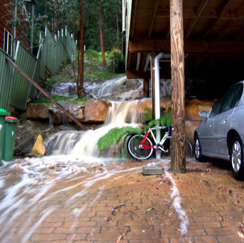 Our Garden, a landscaping journey.