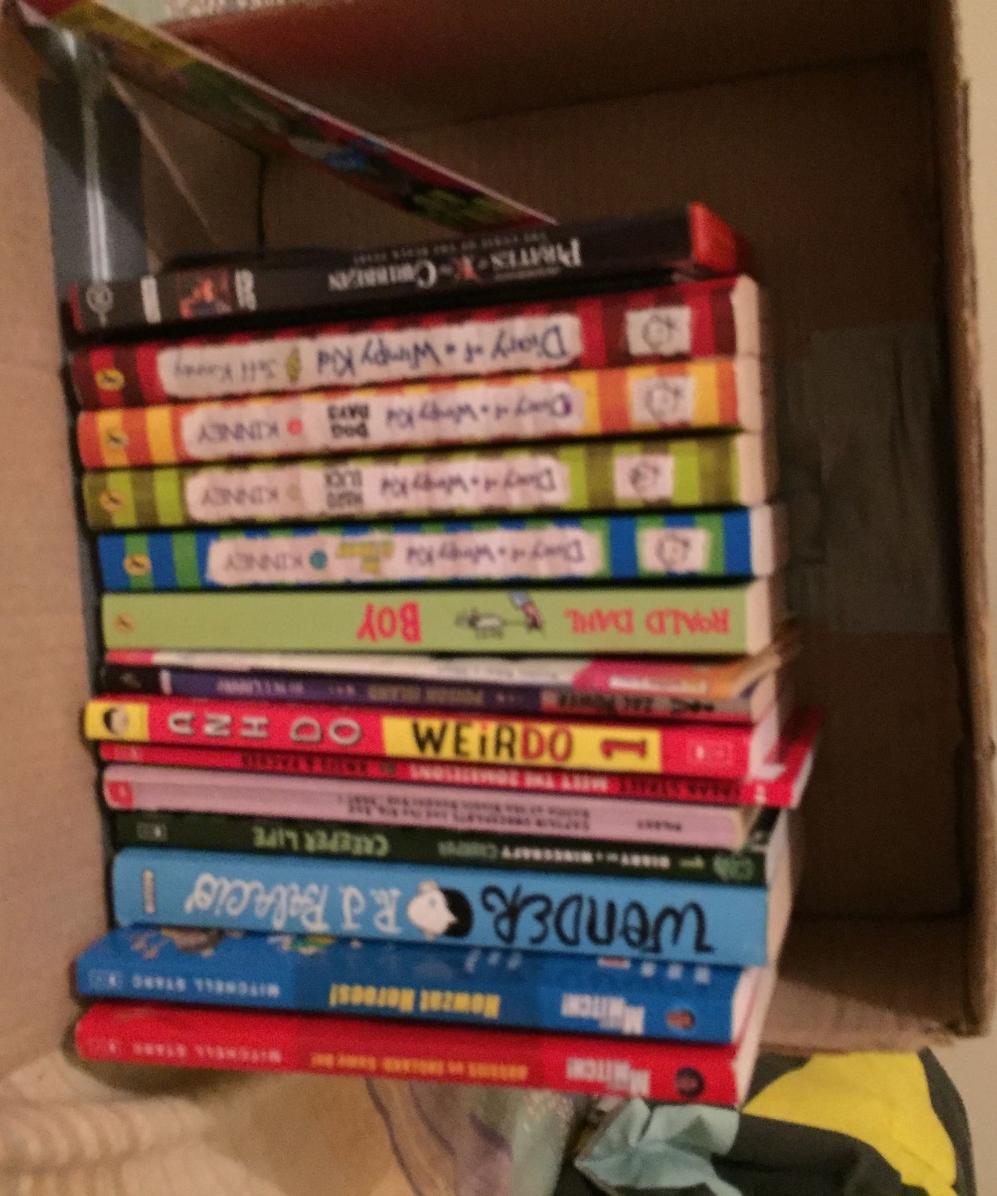 How to Make a Cardboard Bookcase