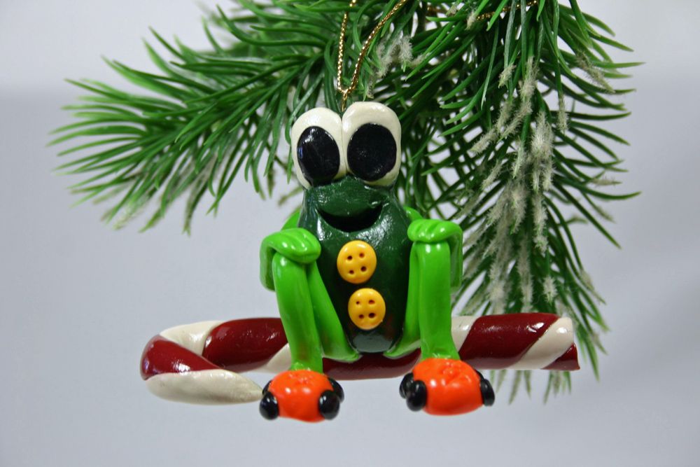 Phil the Skating Frog