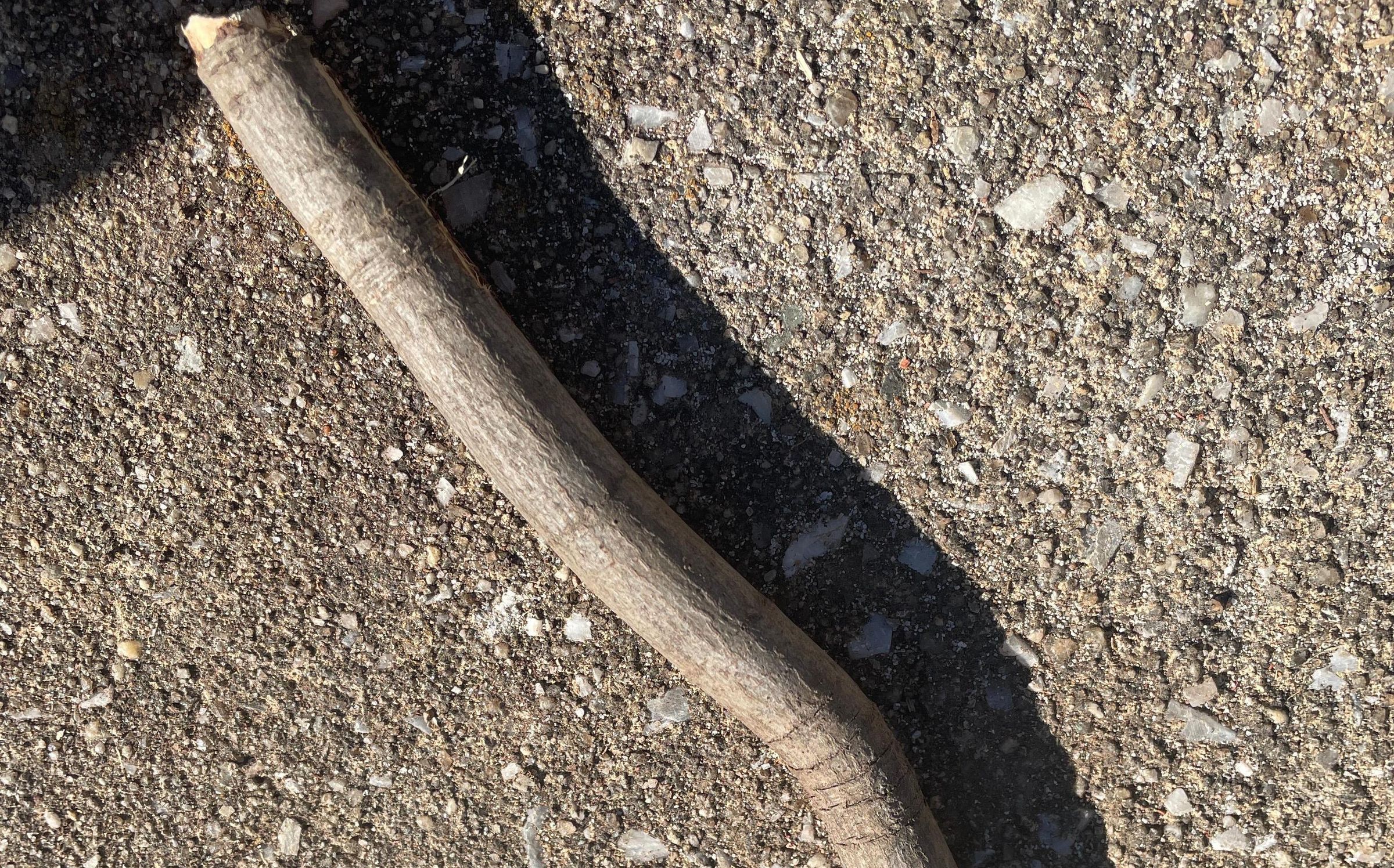 How to Make a Knife Out of a Stick