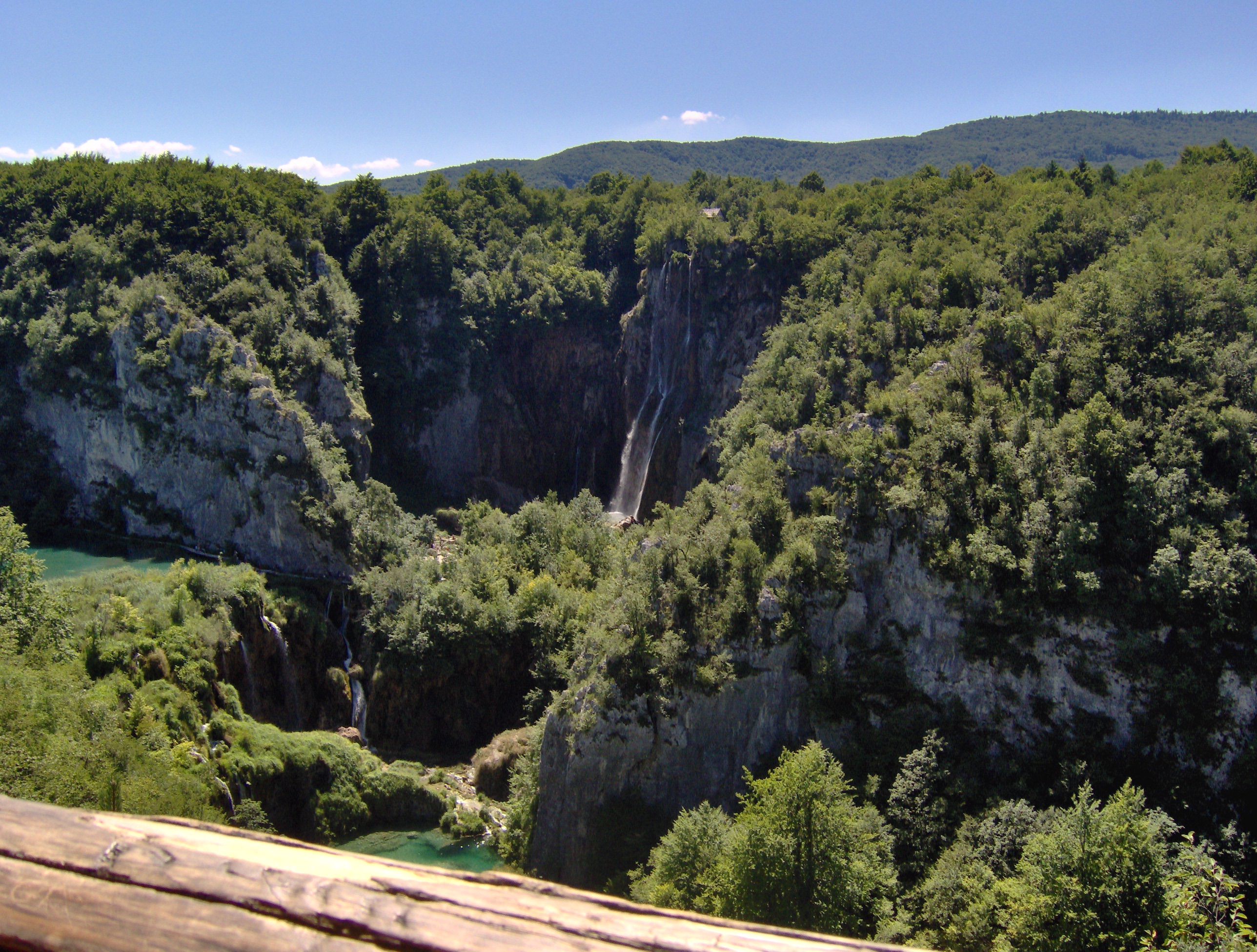 Basic Photography Tips