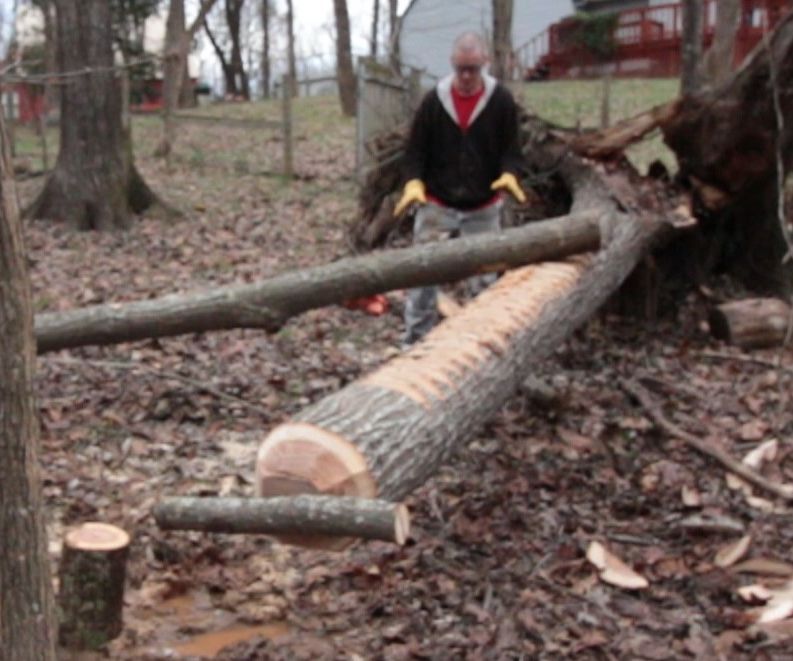 Giant Gee Haw Whimmy Diddle