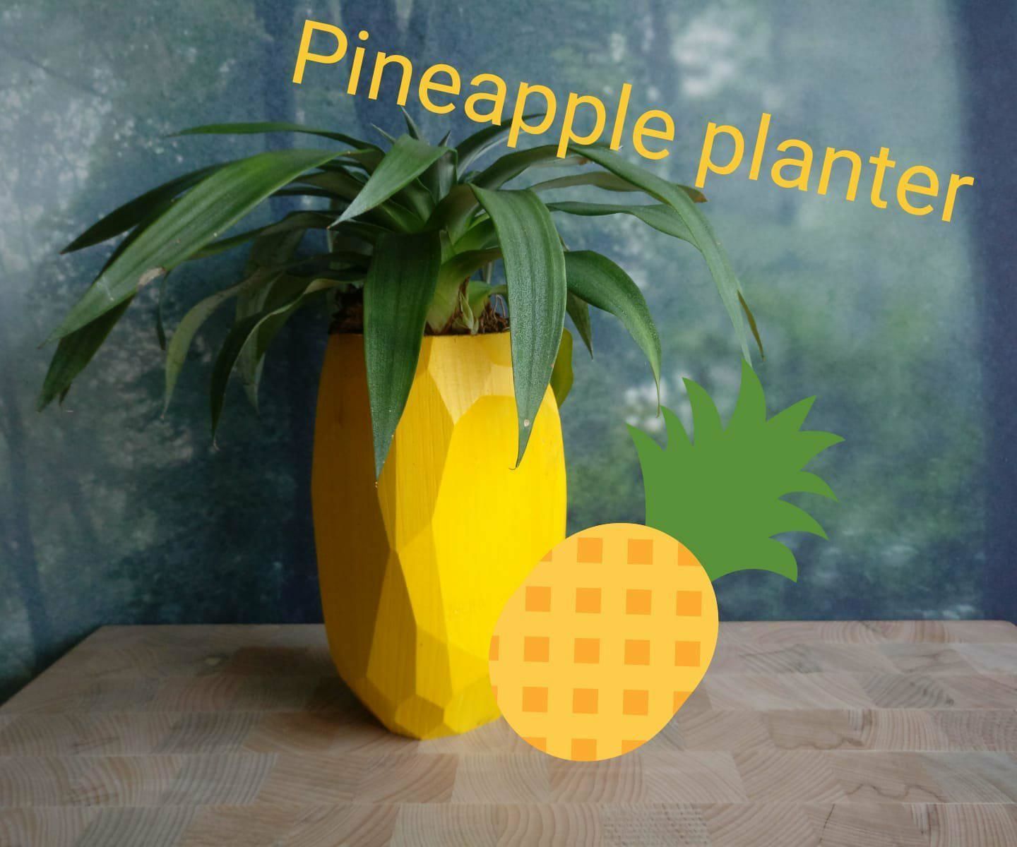 Pineapple Planter