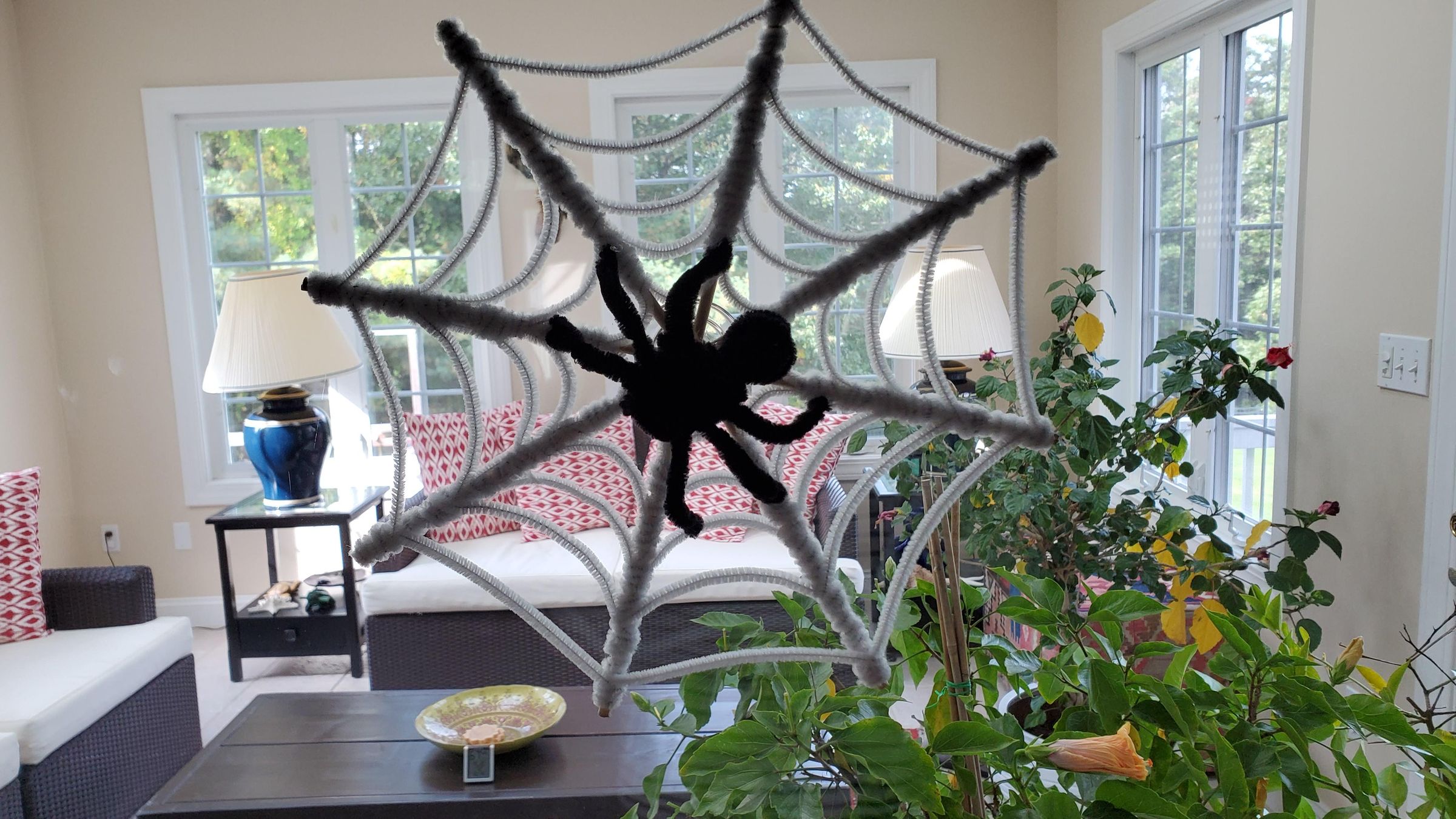 Spider Web With a Suction Cup