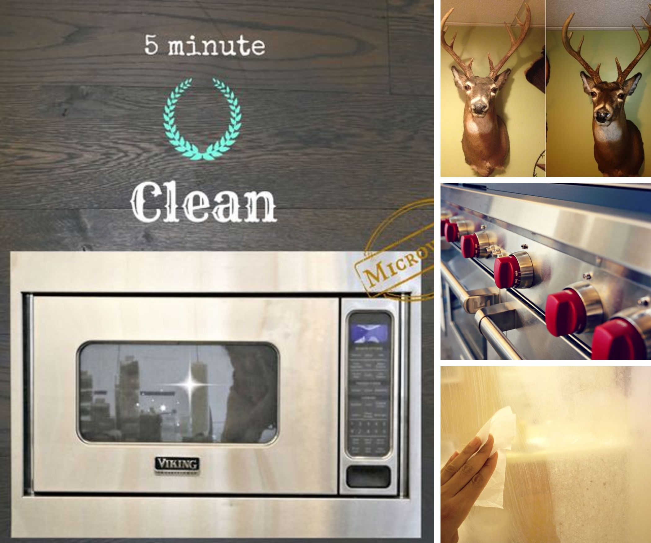 Domestic Life Hacks 
