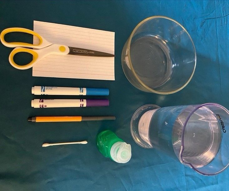 Soap Boat - Surface Tension